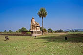 Khajuraho - Javari temple 